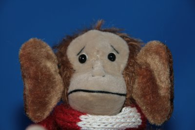 Macaco